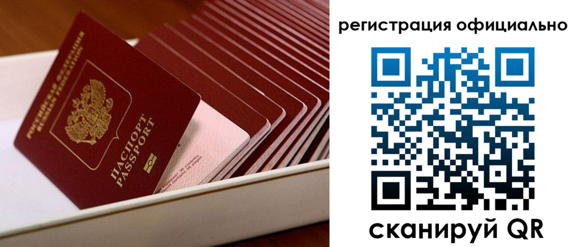 прописка законно в Краснодаре